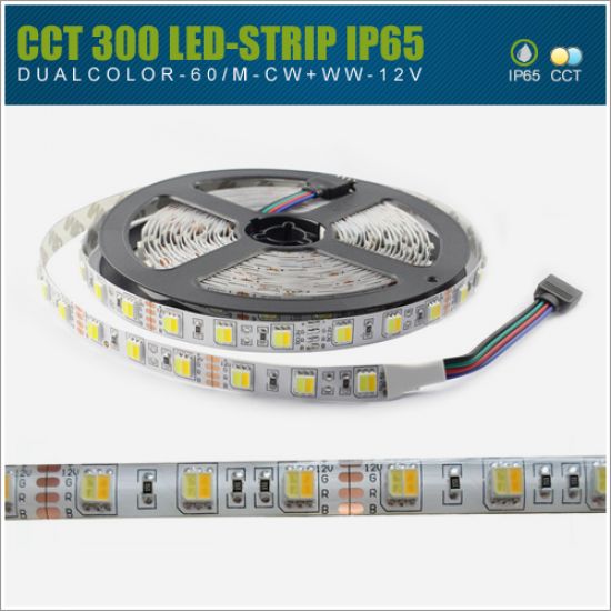 LED Streifen 12V SMD5050 60 LED/m - IP65 2in1 CCT
